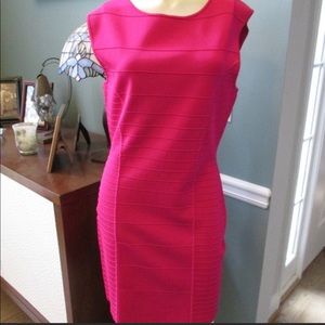 ⭐️sale⭐️NEW Ted Baker dress